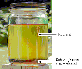 biodiesel therra